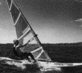 windsurfer pic.